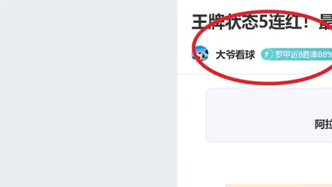 “2025年北京体育传统学校羽毛球锦标赛——由中国体育彩票提供冠名赞助”