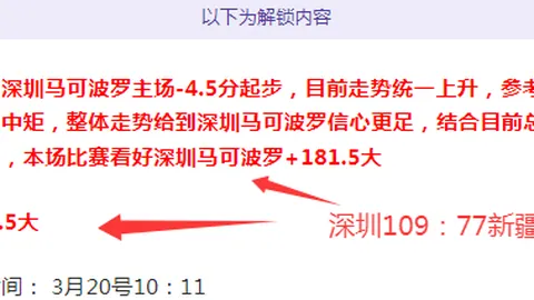 门希克首轮因膝伤退赛，ATP理疗师助力重返赛场